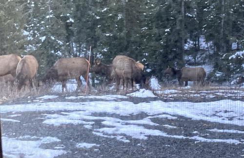 Tiny Caravan Great for Couples with Landscape Views in Idaho - Foto 13