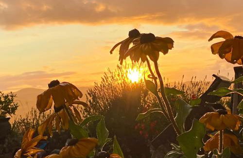 Beehive Cottage - Photo 31