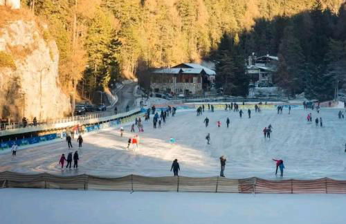 Agritur Gioia - Photo 27