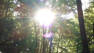 Kruft Veldenz - Foto 4