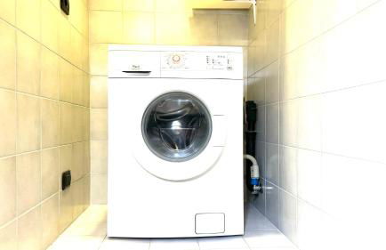 Roses' Home - Foto 8