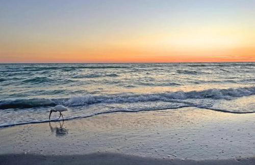 Elegant Home-Mins to Tampa General Hospital & DT - Foto 14