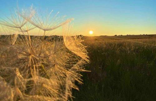 House - Free Parking & Sea Views - Foto 35