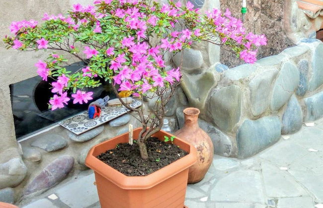 Apartment on Atskuri Str - Foto 41