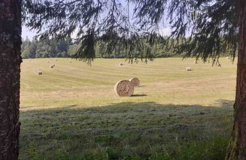 Le hameau de Donnedevie - Foto 20