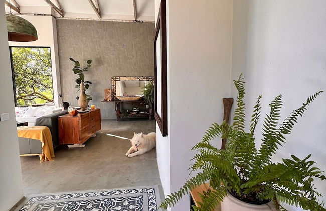 Gaia Experience - Foto 49