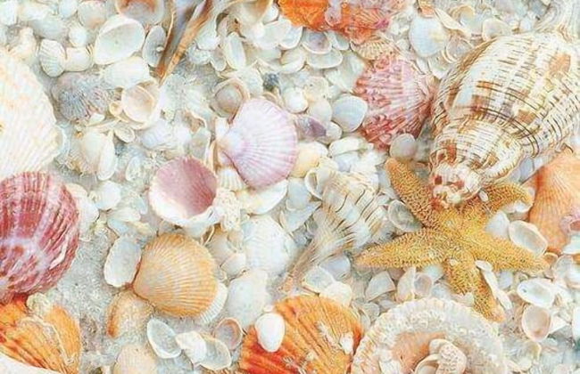 Penthouse María Bonita - Foto 51