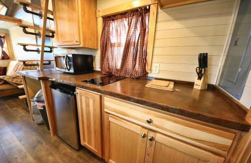 Tiny House Leadville Colorado - Foto 34