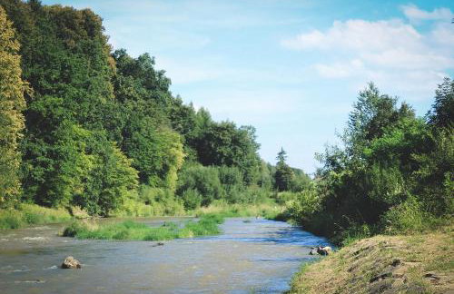 Domek na wsi - Fyrtokfest - Foto 42