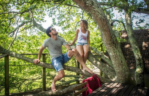 Dihan Evasion - Foto 72