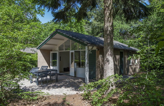 Tidy Furnished Chalet With a Combi Microwave, in the Veluwe - Foto 21