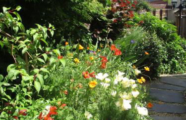 Studio aux portes d'Angers - Photo 13