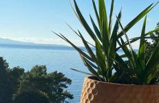 Casa Fortuna - Photo 20