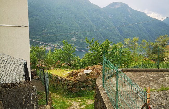 La ruota del Mulino - Foto 26