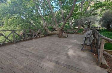 Horio House - Foto 18