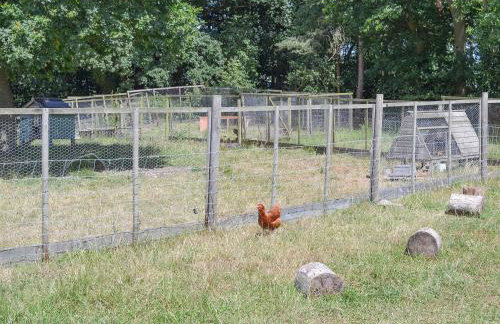 Chiddock Cottage - Ukc2540 - Foto 17