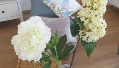 Fliederhaus Dresden - Foto 5