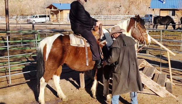Joshua Tree Horseback Riding Tour - Foto 3