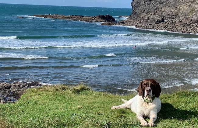 1 Bed-pet Friendly-parking-patio-close to Coasts - Foto 56