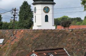 Ferienwohnung Riedblick-Süd-West - Photo 16