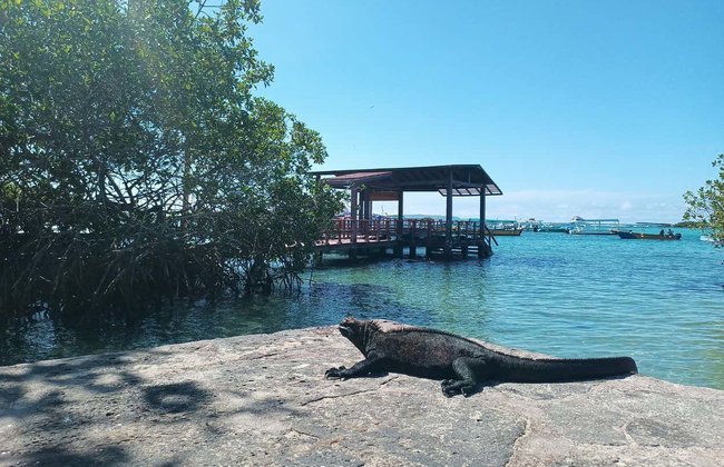 Tour de 7 días por las islas Isabela, Santa Cruz y San Cristóbal - Foto 7