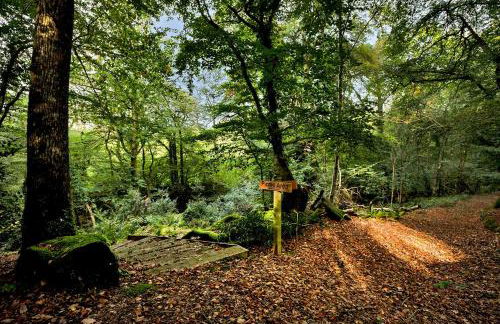 Colleton Hall and East Wing - Foto 65