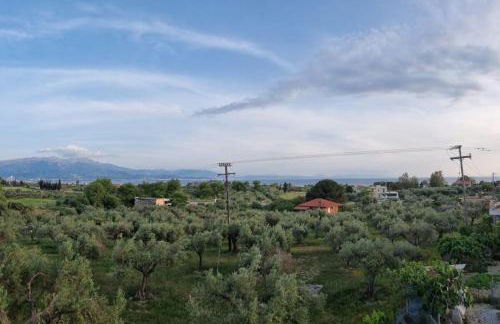 Vlasis home - Foto 14