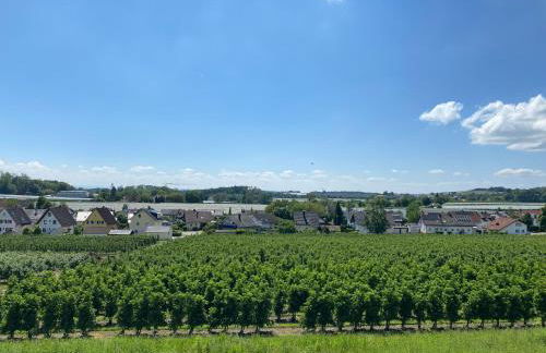 Haus Apfelwiese - Foto 3