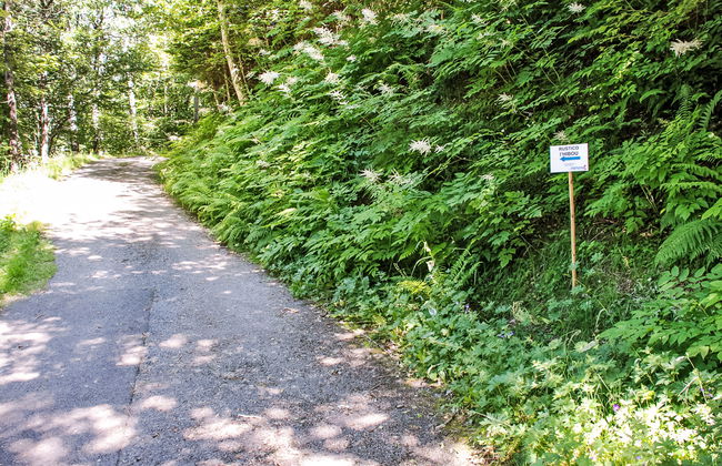 Rustico L'Hibou - Foto 21