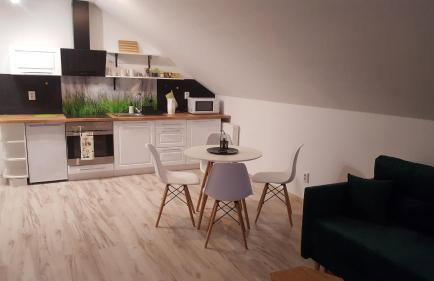 Apartamenty - Pod Wierzbami - Foto 20