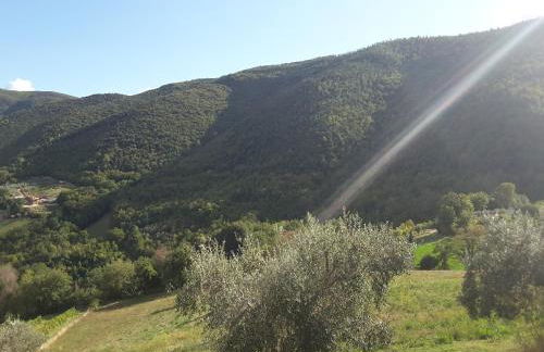 La Fattoria Di Mamma Ro' - Foto 8