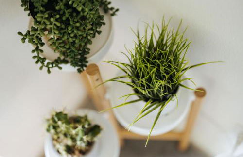 Earthy Beach House - Foto 36