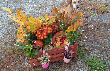 Domek Raszówka - Foto 49