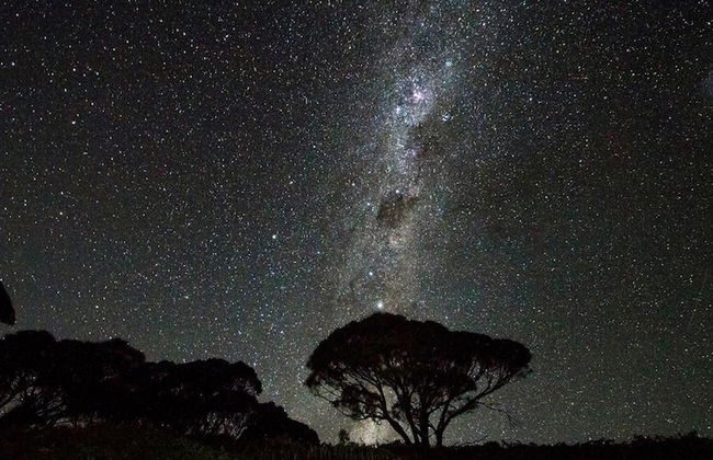 Kosciuszko Tourist Park - Foto 30