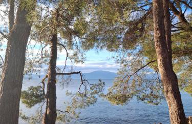 APARTMAN IVONA U PRIZEMLJU - Foto 33