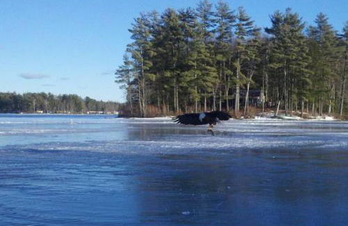 Grandview Gambrel - Foto 43