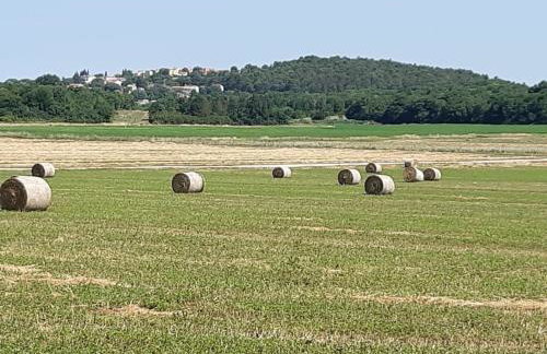 Villa goISTRIA - Foto 49