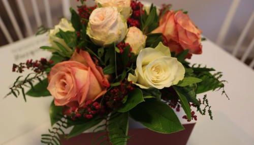 Dompanorama- Luxuriöse FeWo - Foto 4, Other