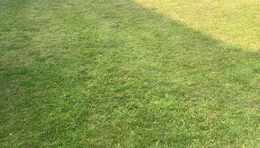 Studio Flat in Walsall with Option of Large Garden for Events - Foto 3, Garden view