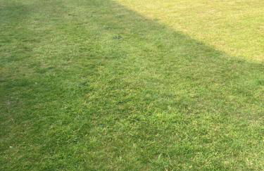 Studio Flat in Walsall with Option of Large Garden for Events - Foto 3