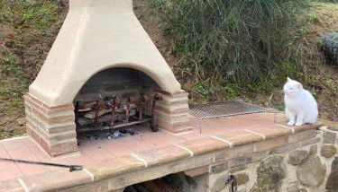 Oltrebosco Casa Vacanze - Photo 2