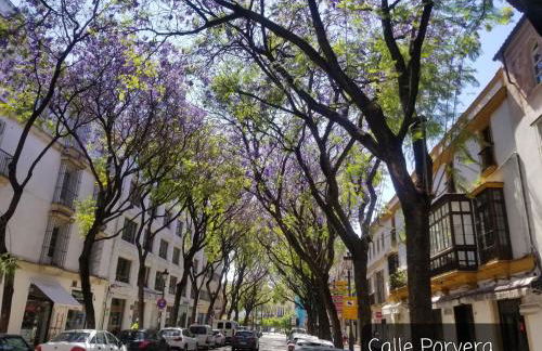Jerez Centro Historico - Foto 61
