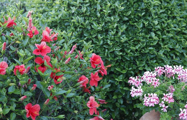 Muthu Balaia Sol - Photo 53