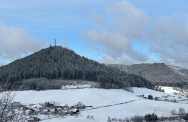 Panorama-Suite mit Kamin & Balkon, Ruhe, Weitblick & Natur im Schwarzwald - Foto 29