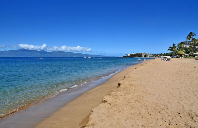 Kaanapali Alii 456 in Kaanapali - Photo 23