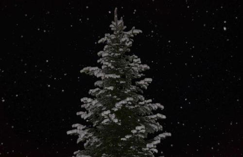 Haus Kargruber - Photo 23