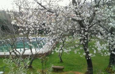 Puerto Roque Turismo Rural - Foto 12