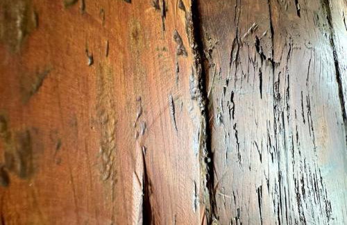 Casa rural con piscina climatizada - Photo 22