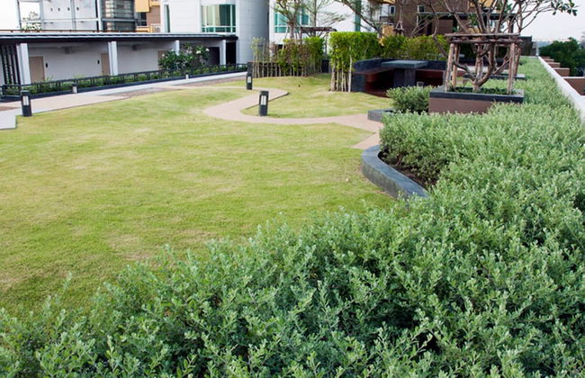 Impact Novo Condo Muang Thong Thani - Foto 22