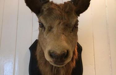 Limefield Mansion House - Foto 18